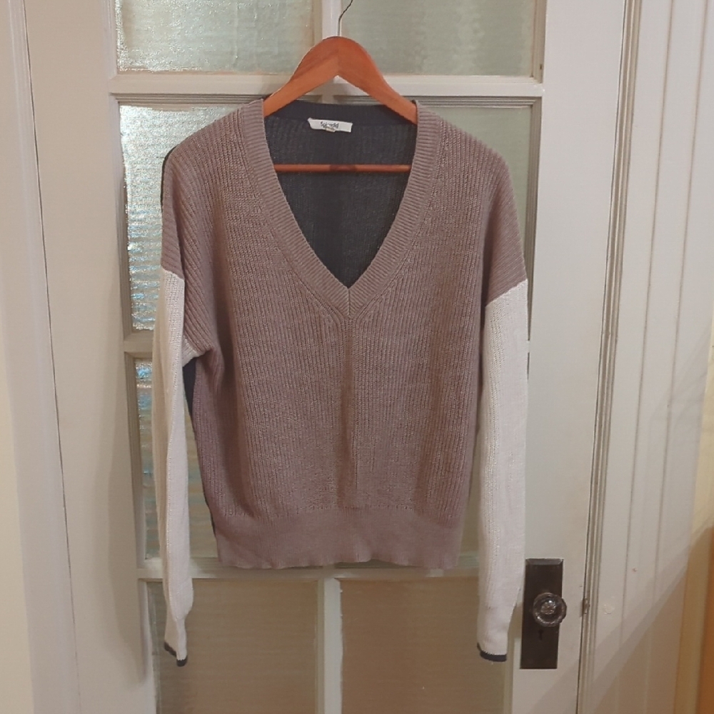Splendid Women's V-Neck Sweater - Brown and White